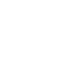 x-icon