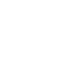 x-icon